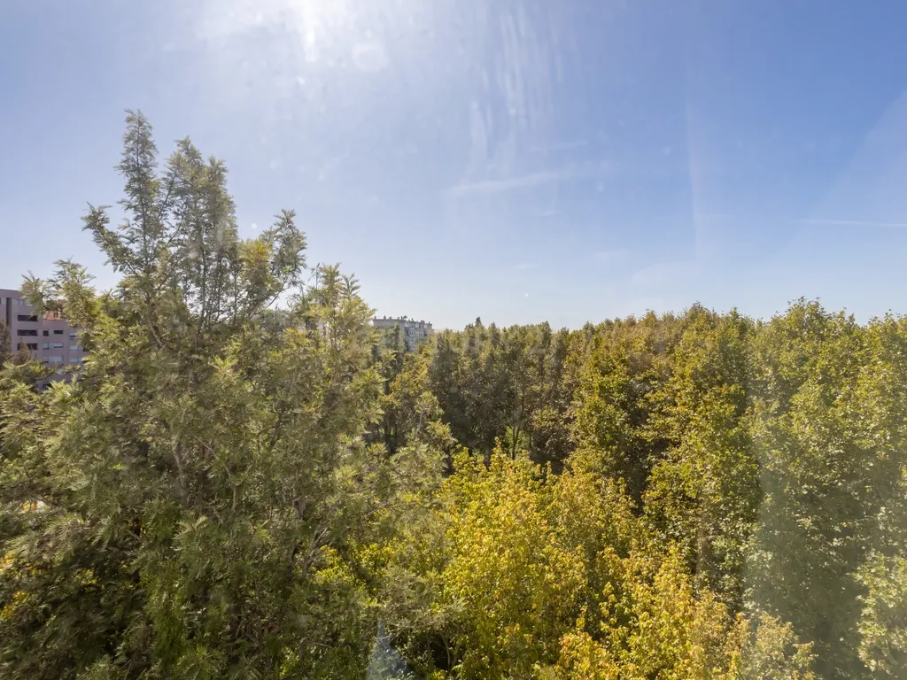 T4 com Vista sobre o Jardim de Vanicelos e Serra da Arrábida - Image 38
