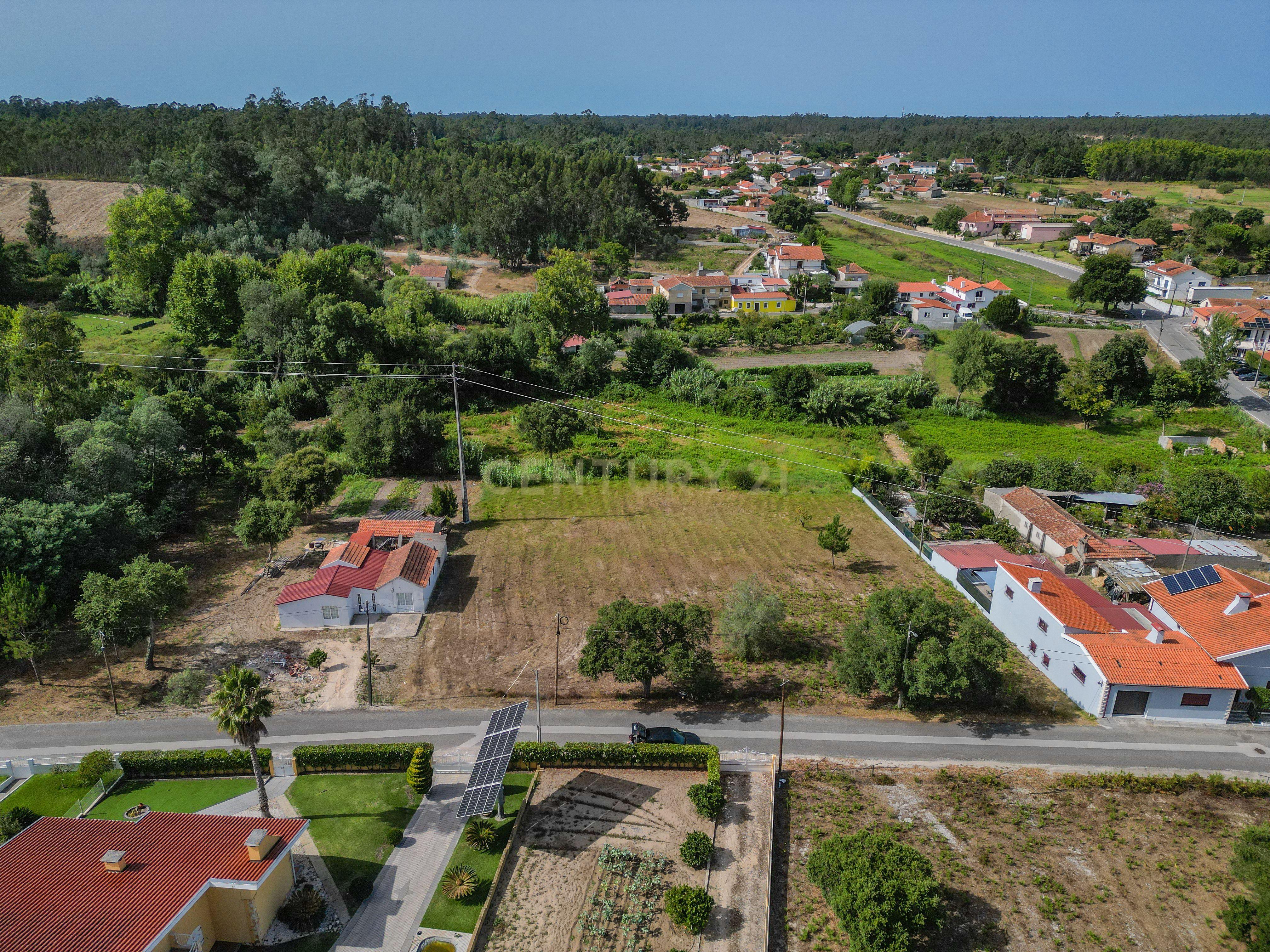 Fotografia 3 de Terreno com cerca de 2.700 m² em Casal dos Chouriços, Moinhos da Gândara, Figueira da Foz.