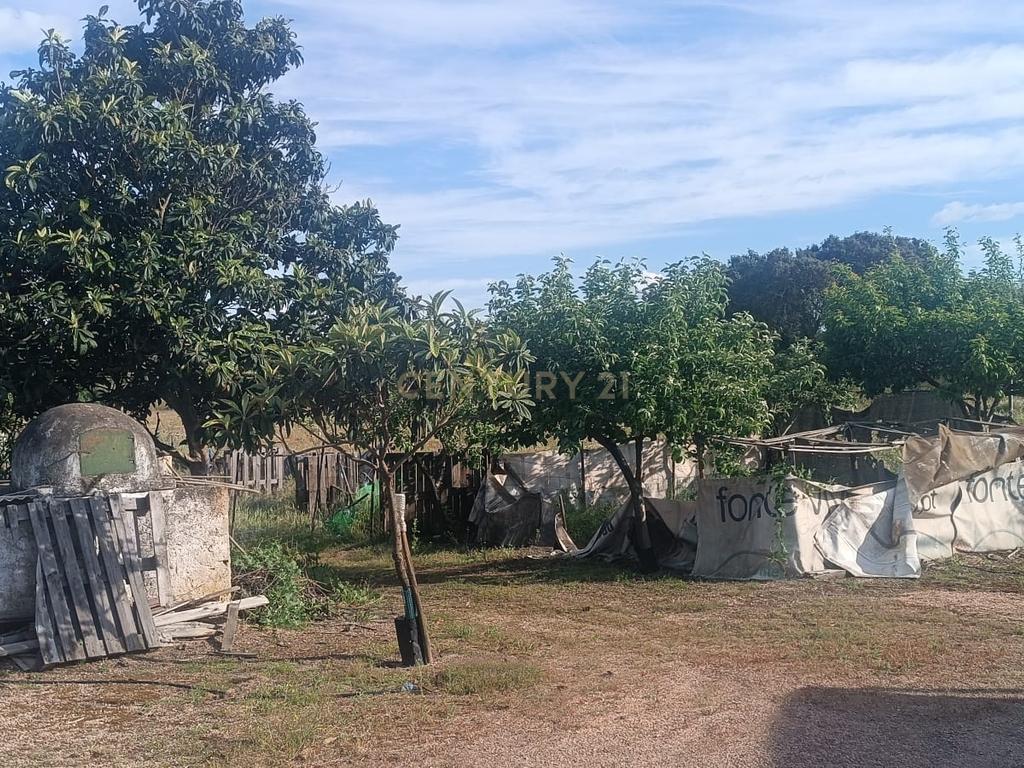 Excelente terreno em Santa Eulália Elvas - Image 12
