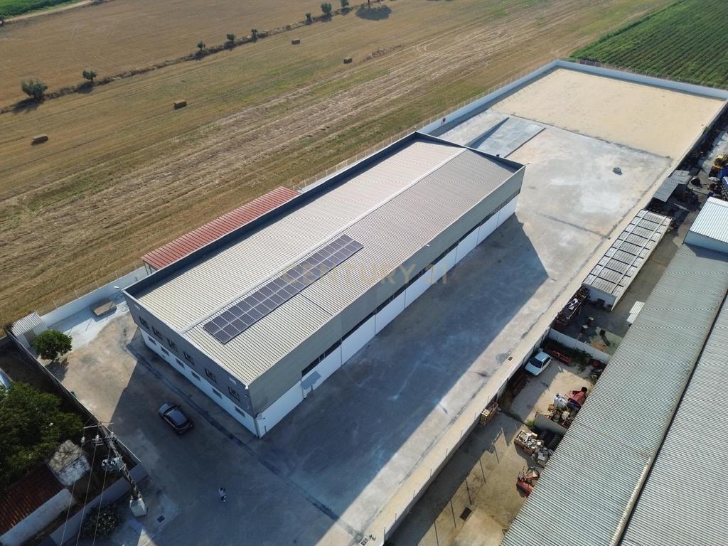 Armazém Industrial para Arrendamento – Riachos, Torres Novas - Image 5