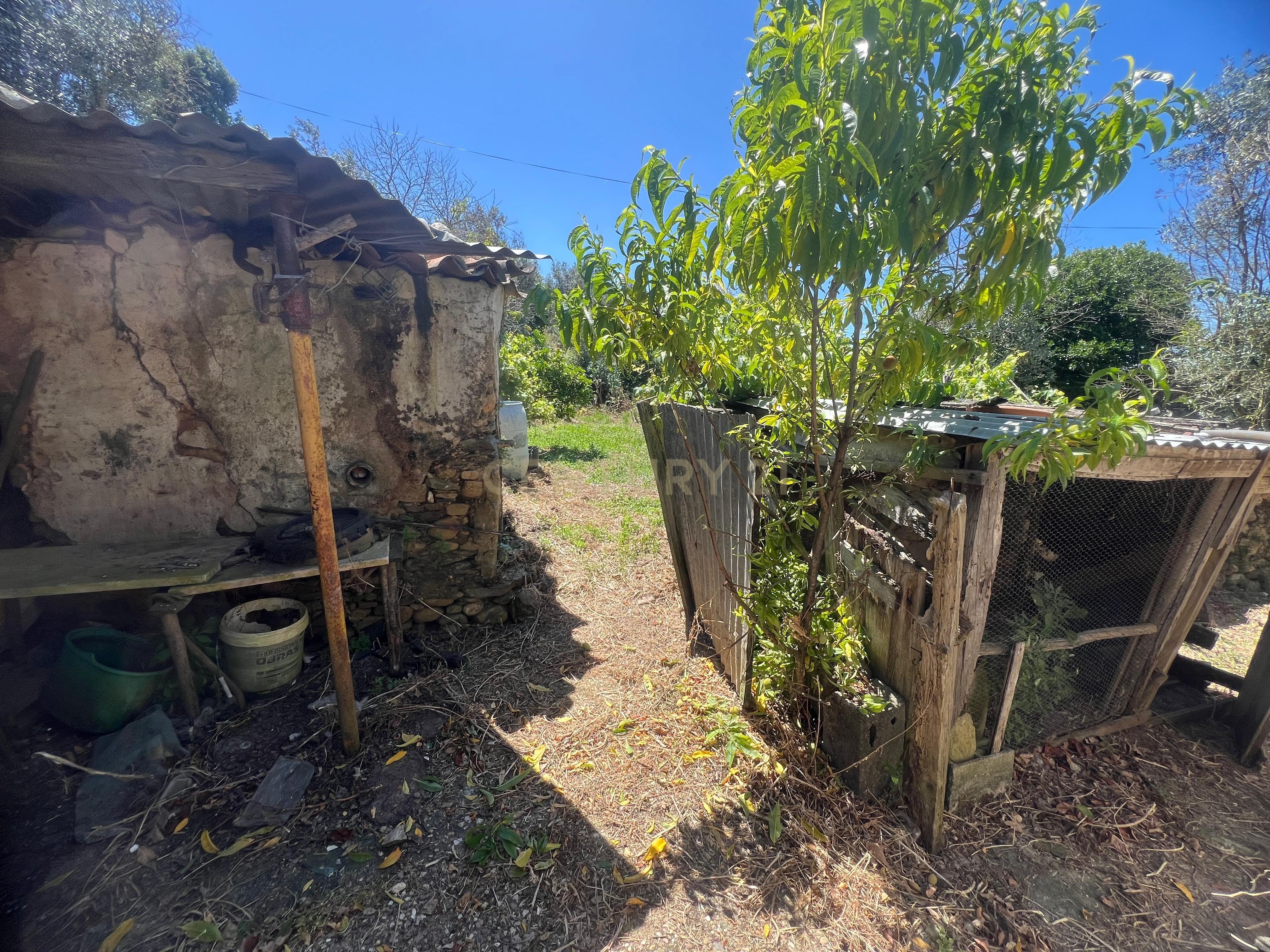 Casa para reconstrução total a 10 min da Praia Fluvial de Aldeia do Mato Abrantes - Image 14