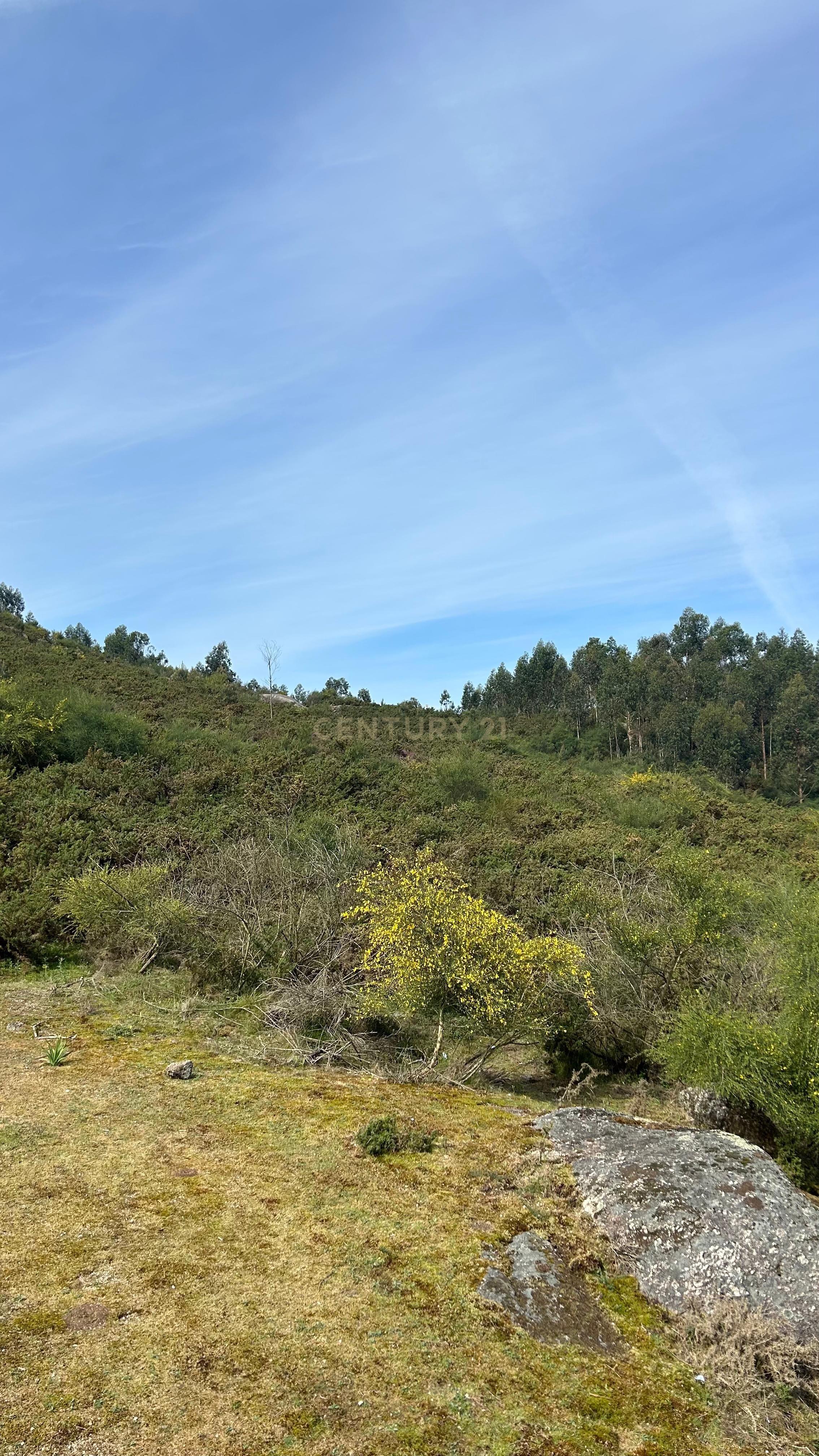 Fotografia 8 de Terreno rústico em Vizela| 5 HA