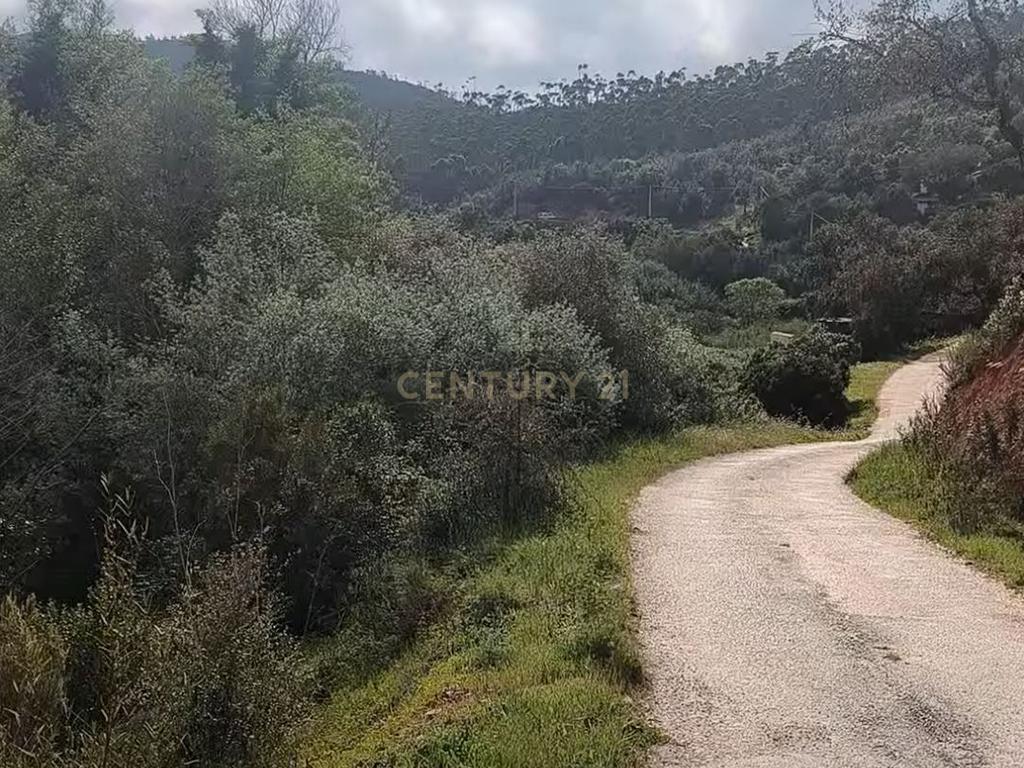Terreno Rústico com Ruína em Aljezur – 26,88ha de Natureza Pura com Ribeira - Image 3