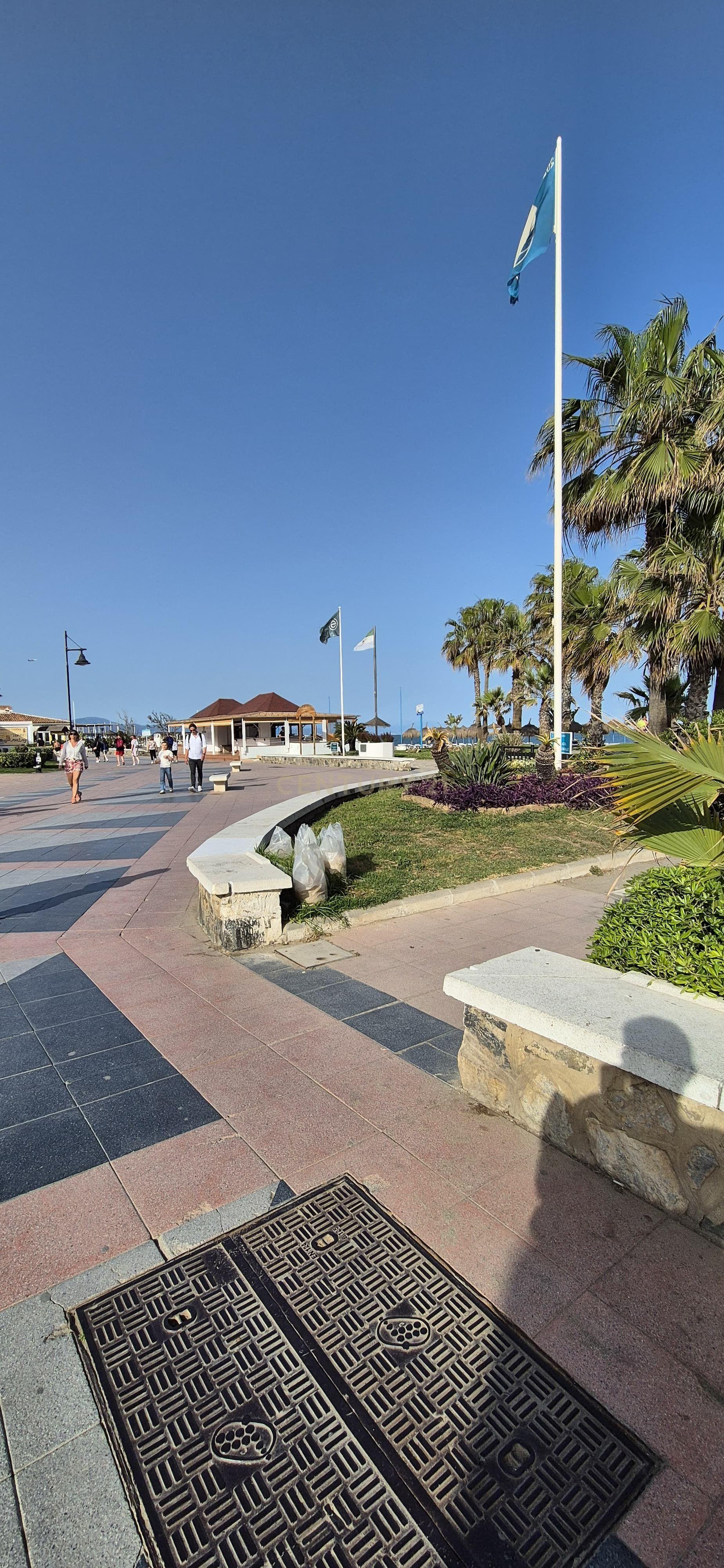 - Image 15