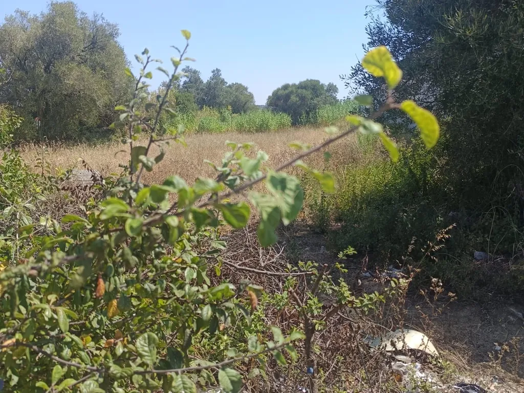 Terreno Urbano em Sintra - Oportunidade Única de Investimento - Image 7