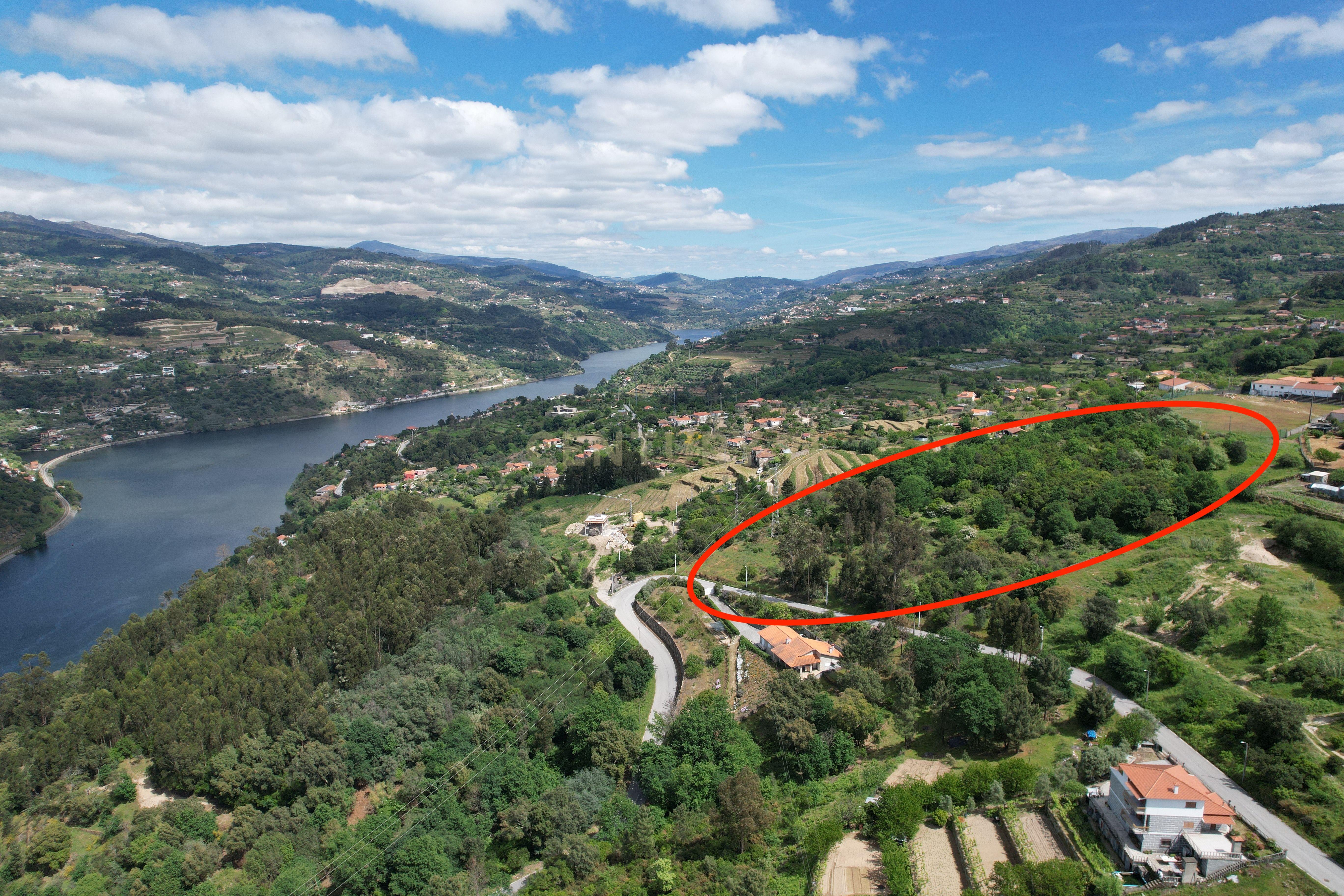 Fotografia 7 de Terreno com PIP Aprovado | 22.523 m² | Resende – Viseu