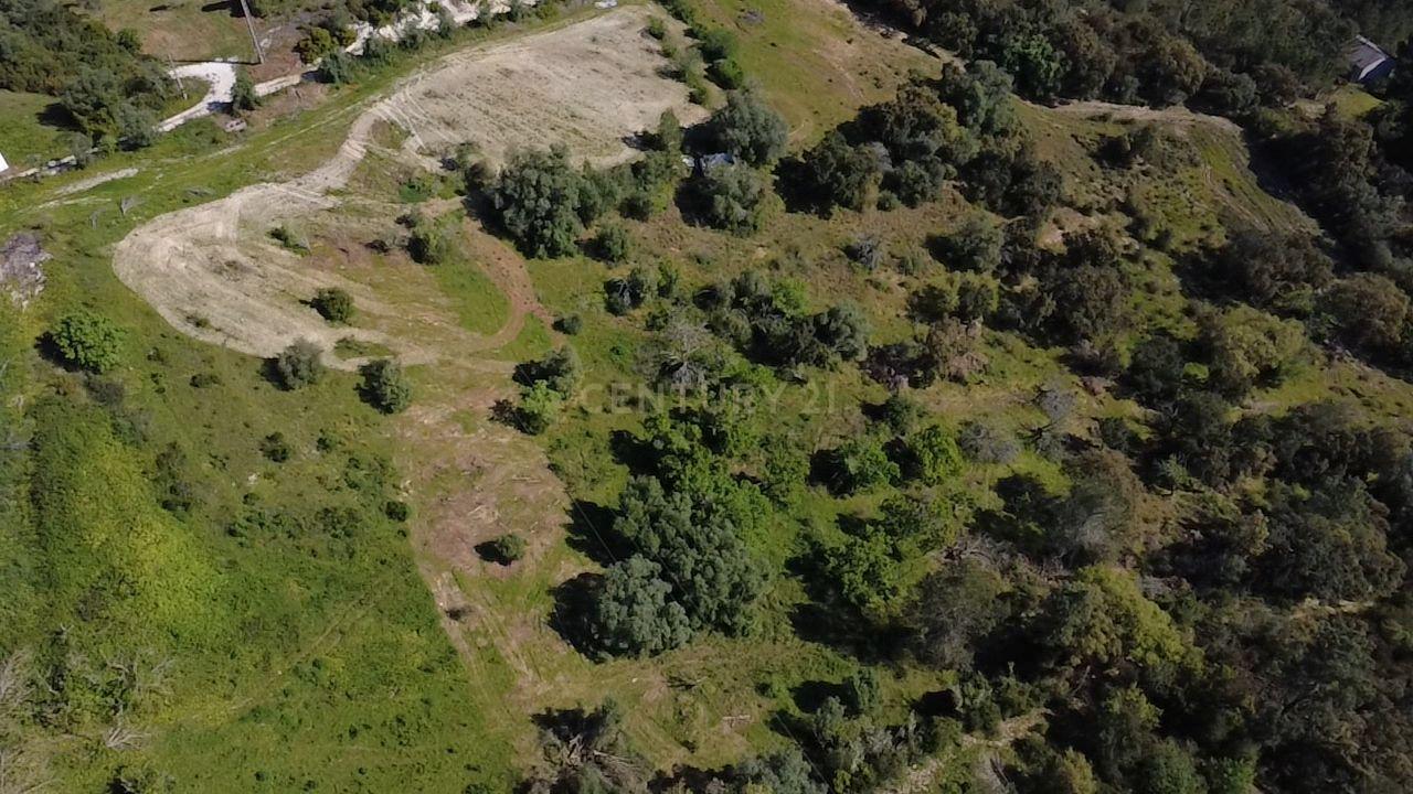 Fotografia 5 de Terreno agrícola