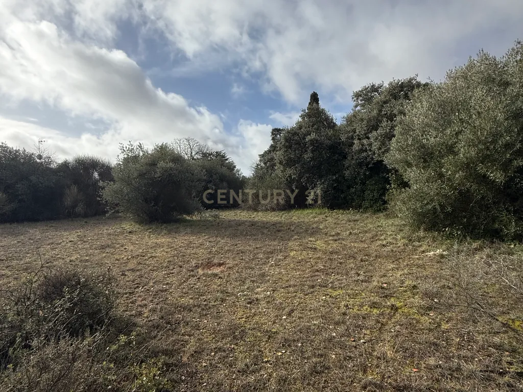 Terreno Urbano em Villar del Olmo, Madrid - 1464m² - Image 8