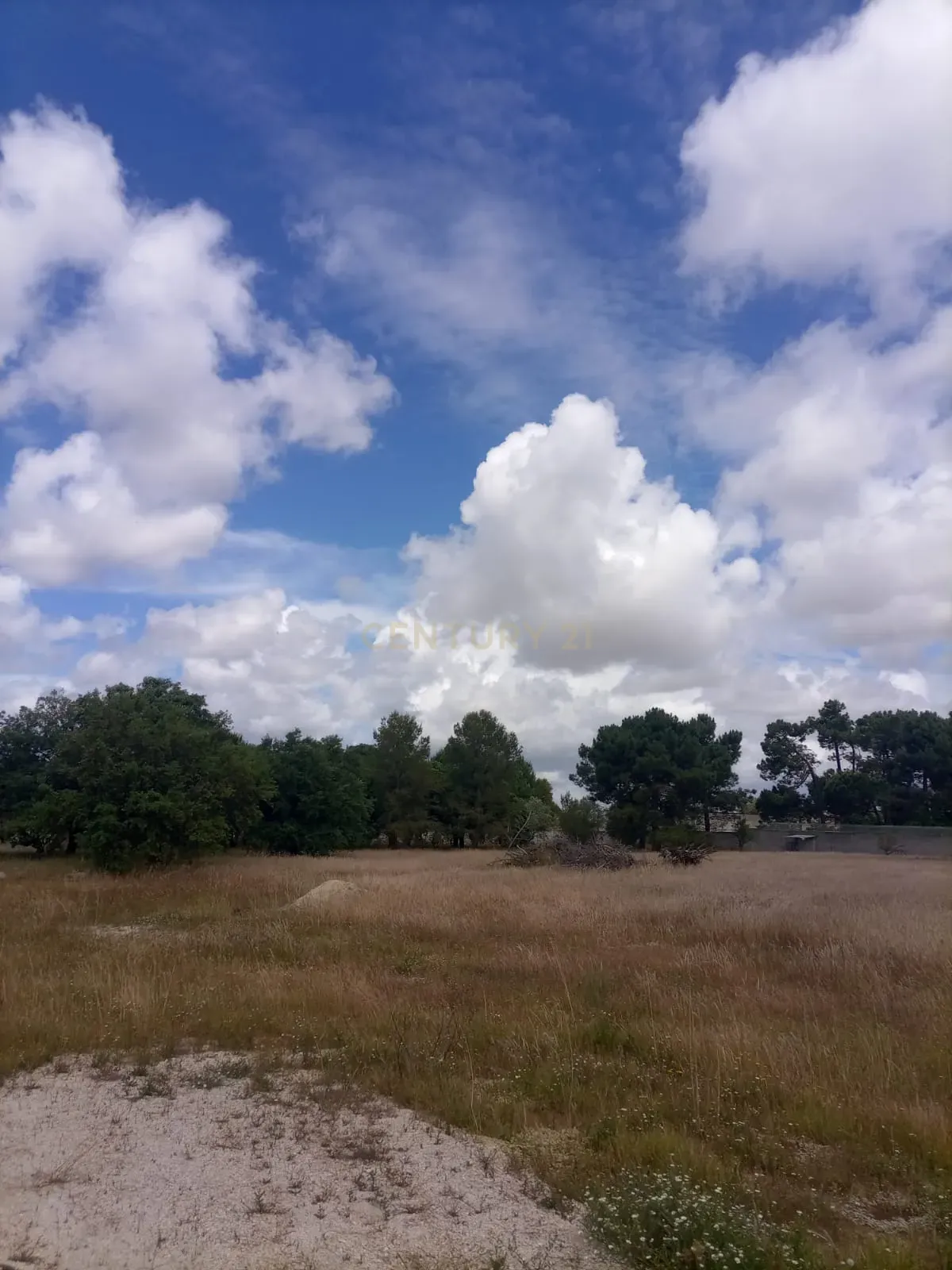 Fotografia 9 de Terreno com Projeto Aprovado em Azeitão