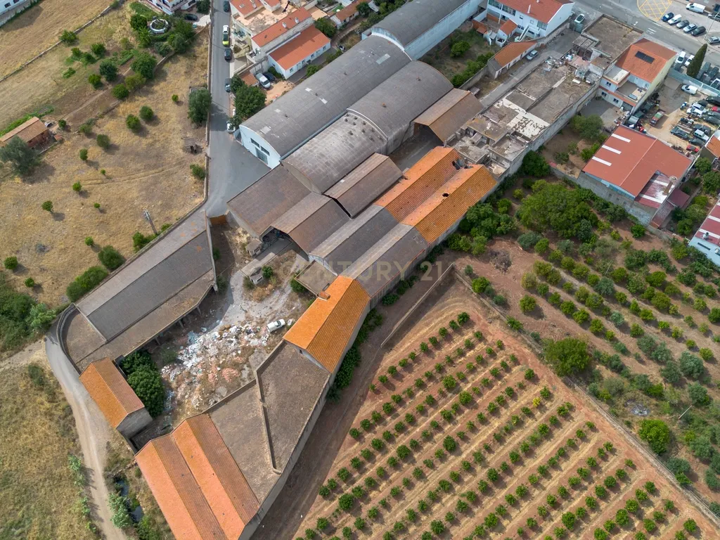 Terreno Urbano com 7.780m2 I Armazéns e Habitação I São Bartolomeu de Messines - Image 5