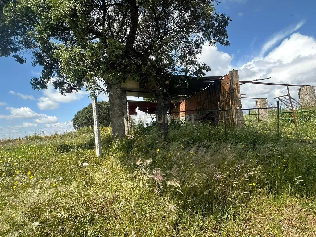Fantástica Quinta, 5.3ha- Zebreira, Idanha-a-nova - Image 18