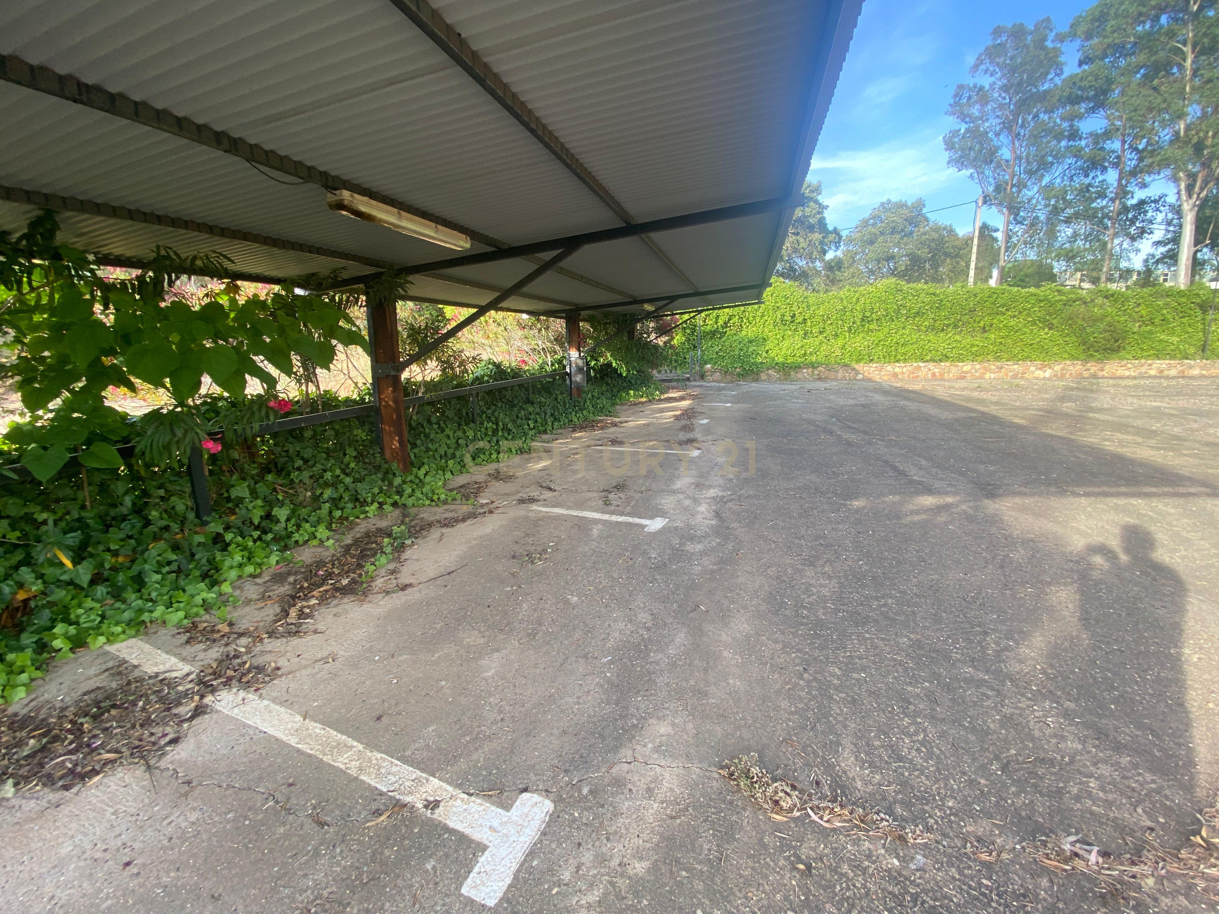 undefined - Image 6