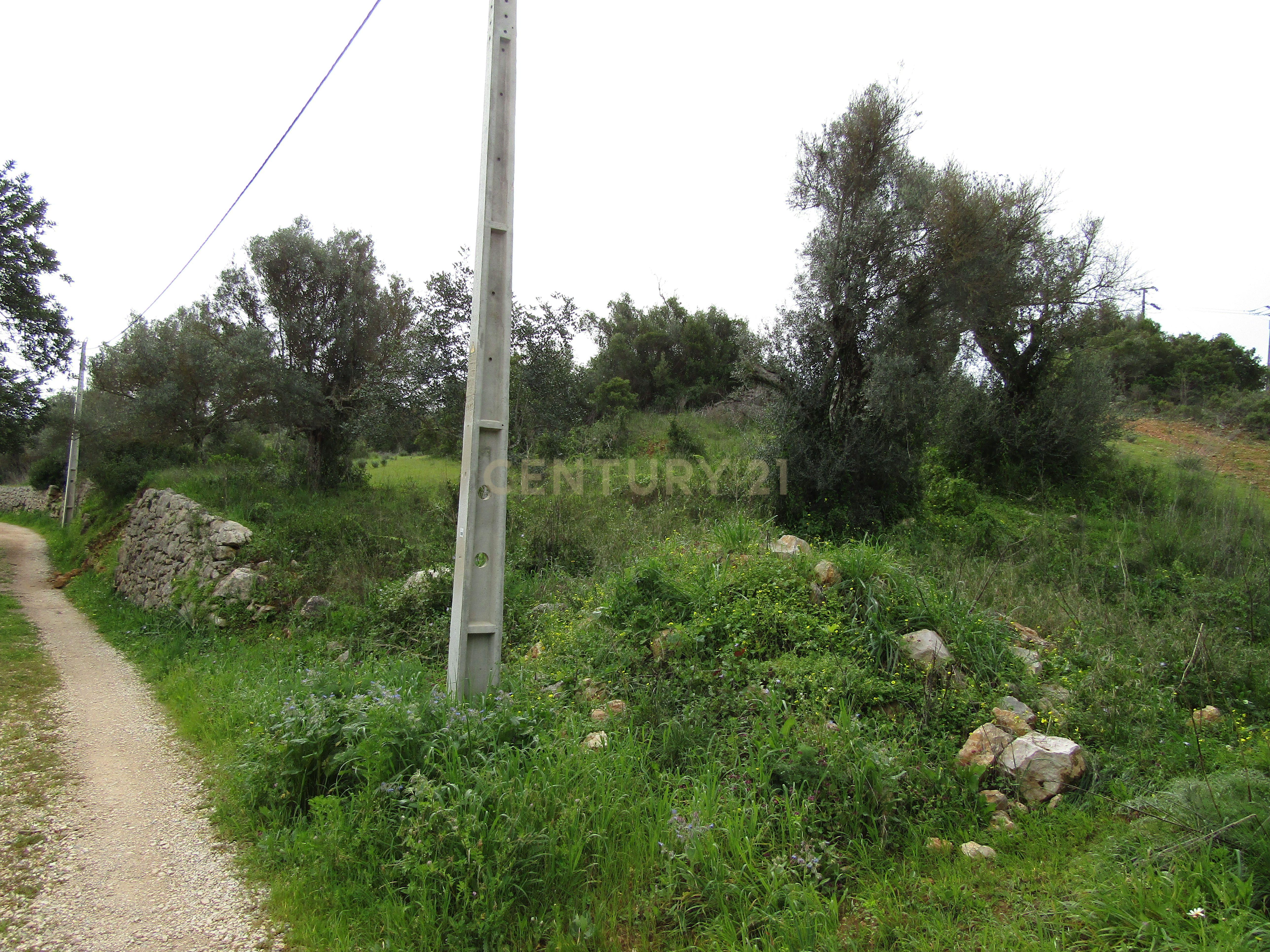 Terreno Rustico em Paderne  - Image 2