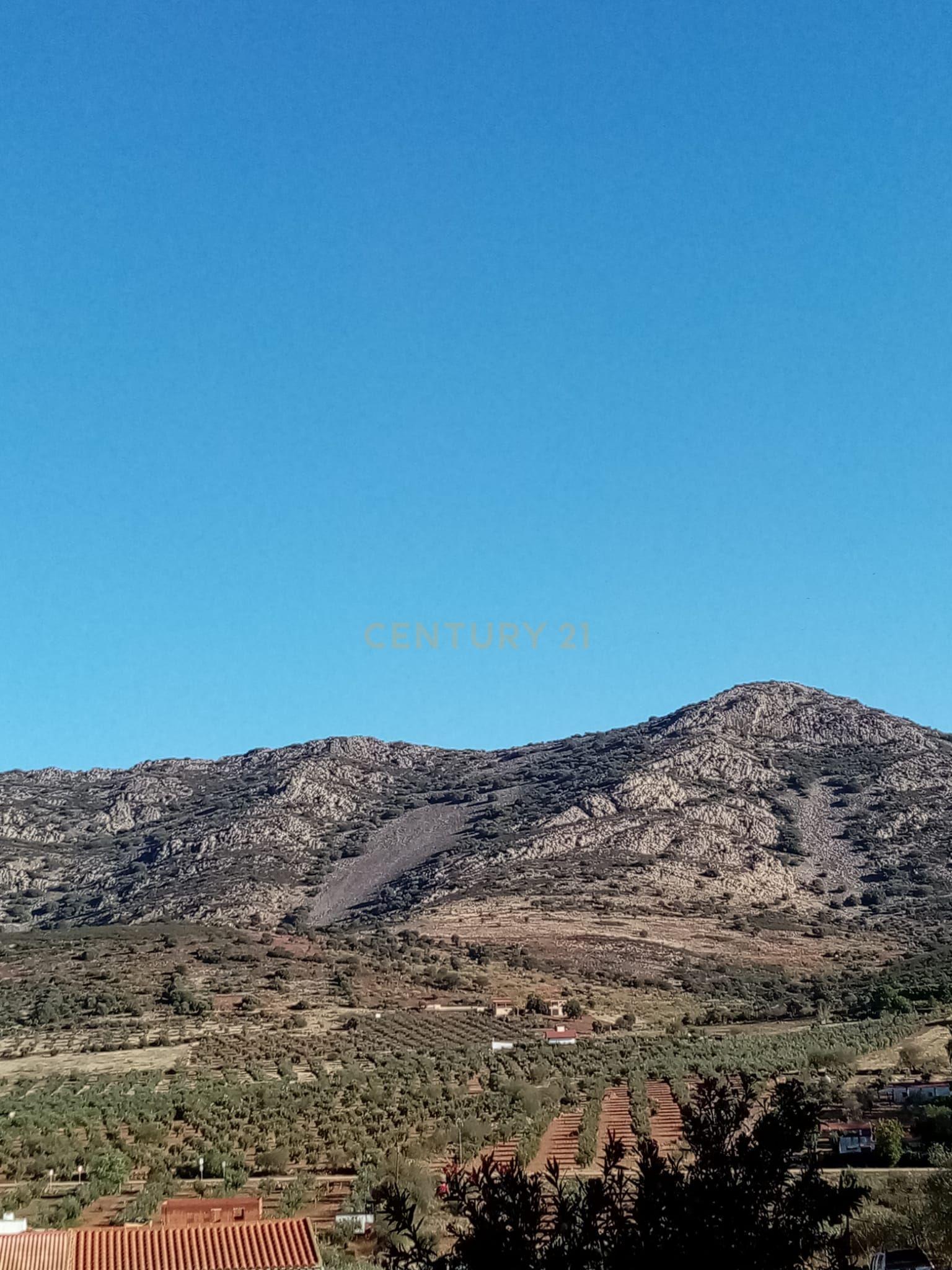 undefined - Image 6