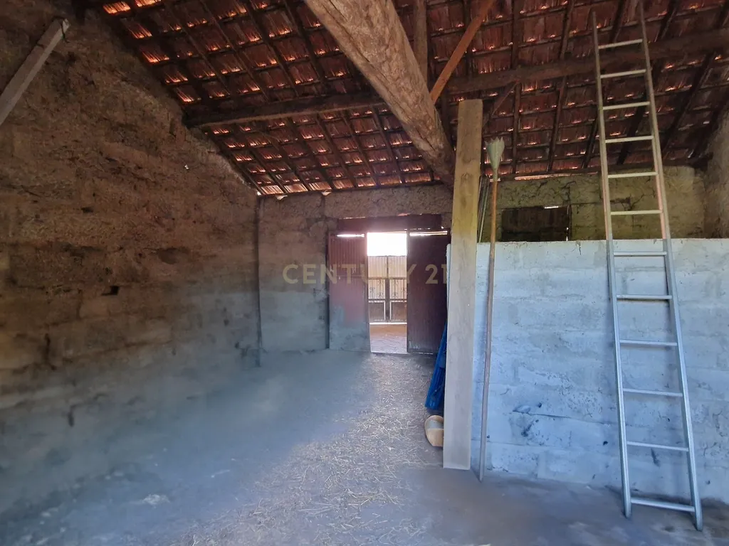 Arrumo em pedra com potencial para habitação – Ótima oportunidade de investimento em Orgens - Viseu - Image 4