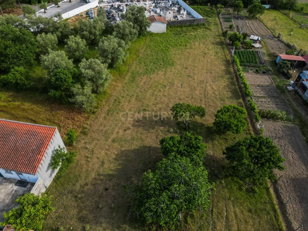 Moradia para Reabilitar com Terreno de 2.590m² em Gatões – Montemor-o-Velho - Image 10