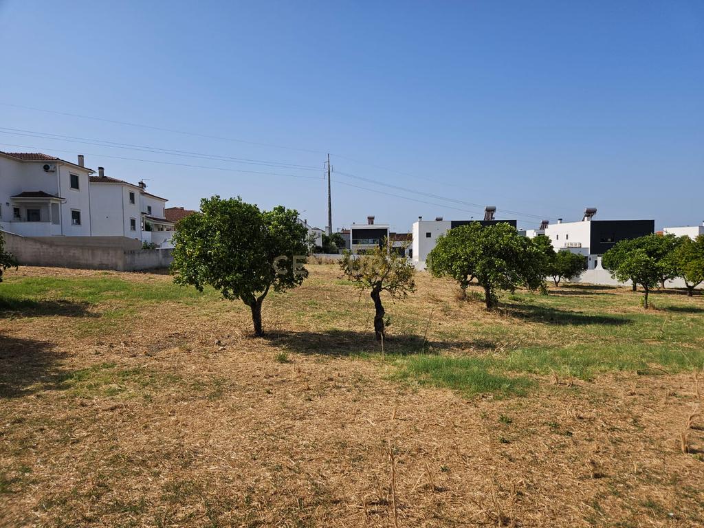 Terreno Urbano em Atalaia Vila Nova da Barquinha - Image 6