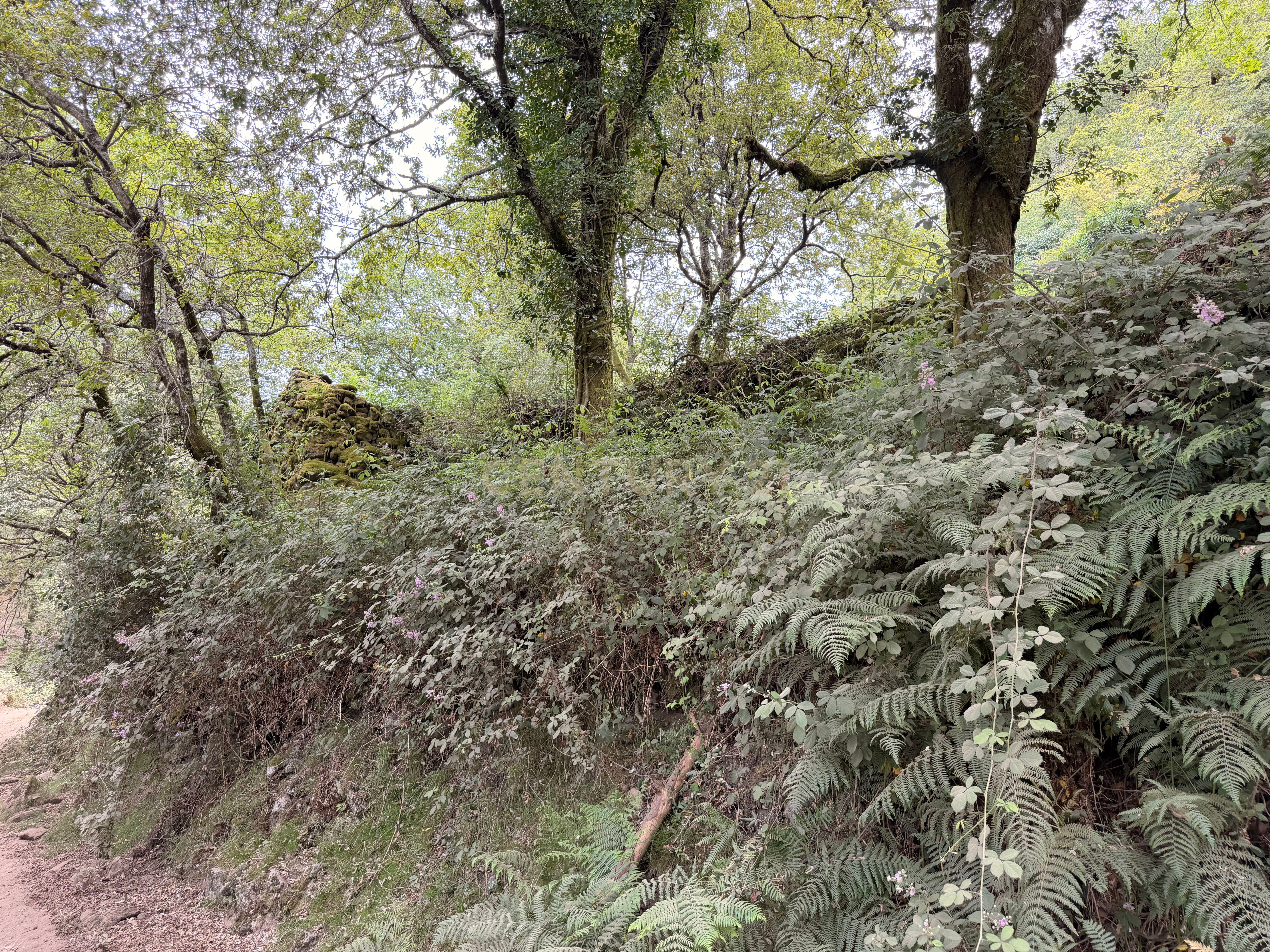 Fotografia 7 de Moradia para restauro e terreno com 2 261m2 em Adrão, Arcos de Valdevez