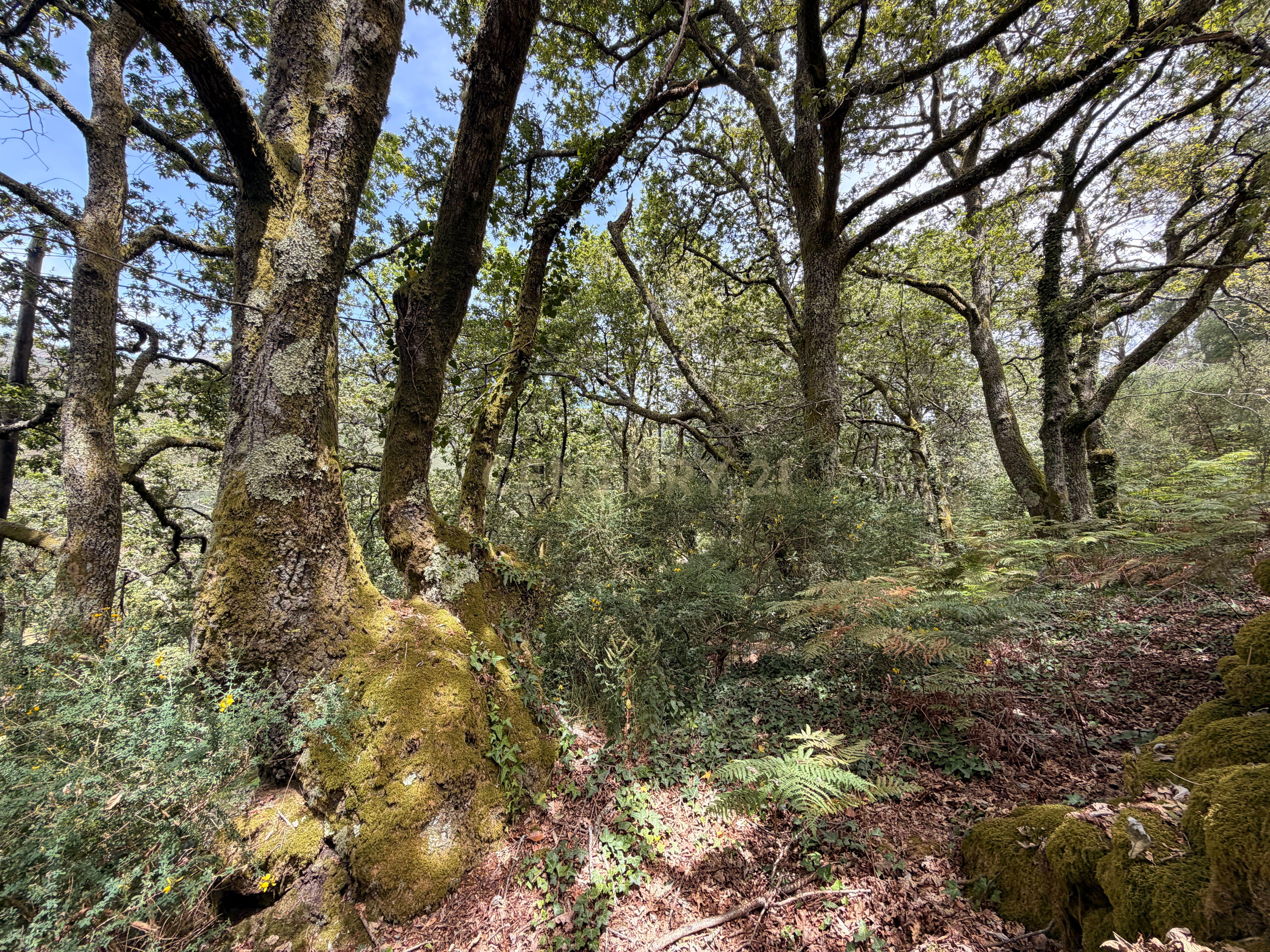 Moradia T1 à venda em Soajo, Arcos de Valdevez — foto 18