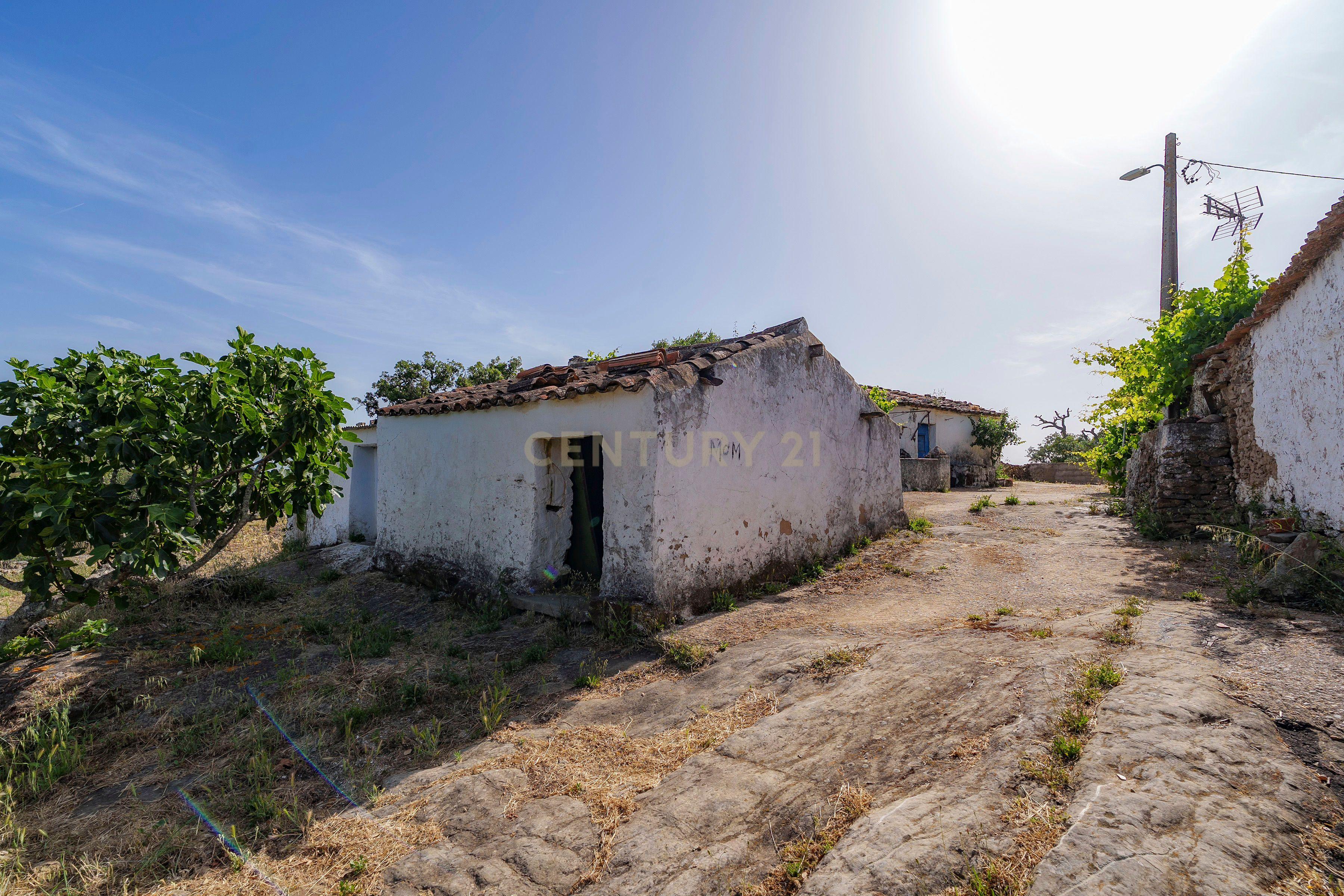 Fotografia 6 de A Casa da Serra | São Brás de Alportel, Cerro da Ursa | 4060m2 de Terreno | Vista Panorâmica