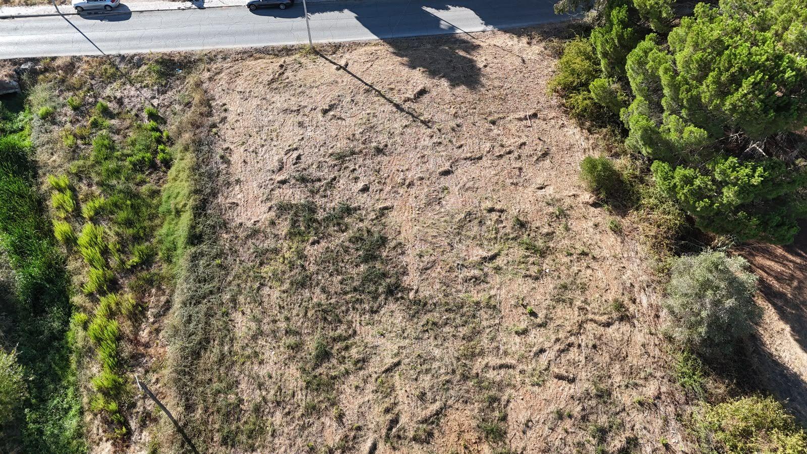 Fotografia 10 de Terreno Urbano de Grande Dimensão | 3.000 m² | Entroncamento