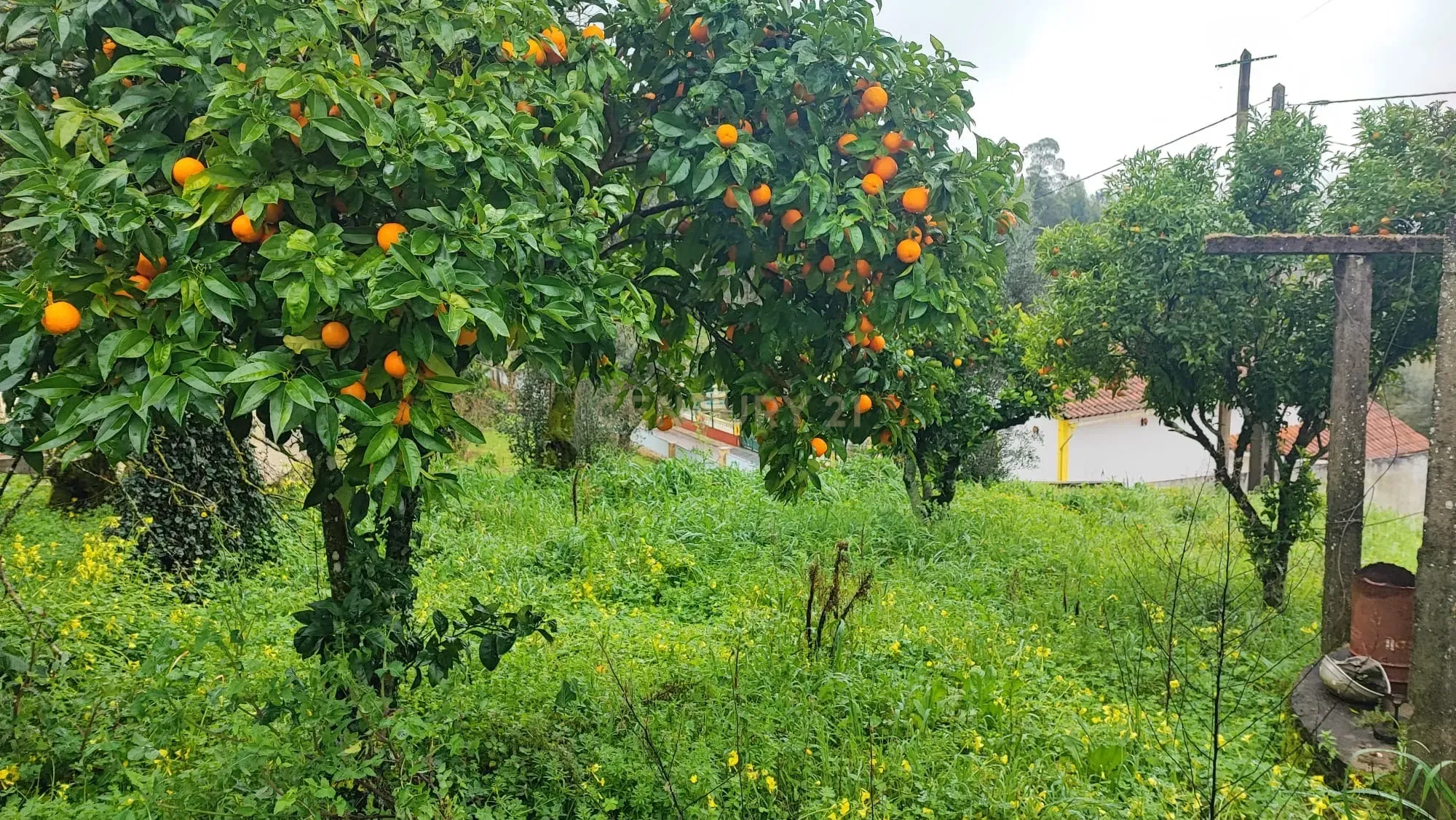 Fotografia 10 de Propriedade para Recuperação em Areias, Ferreira do Zêzere