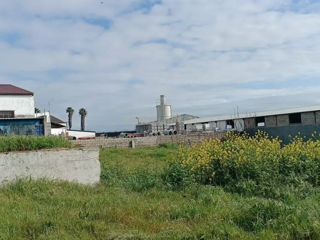 Espetacular Propriedade em Caia, Elvas - 574m² por 315.000€ - Image 17