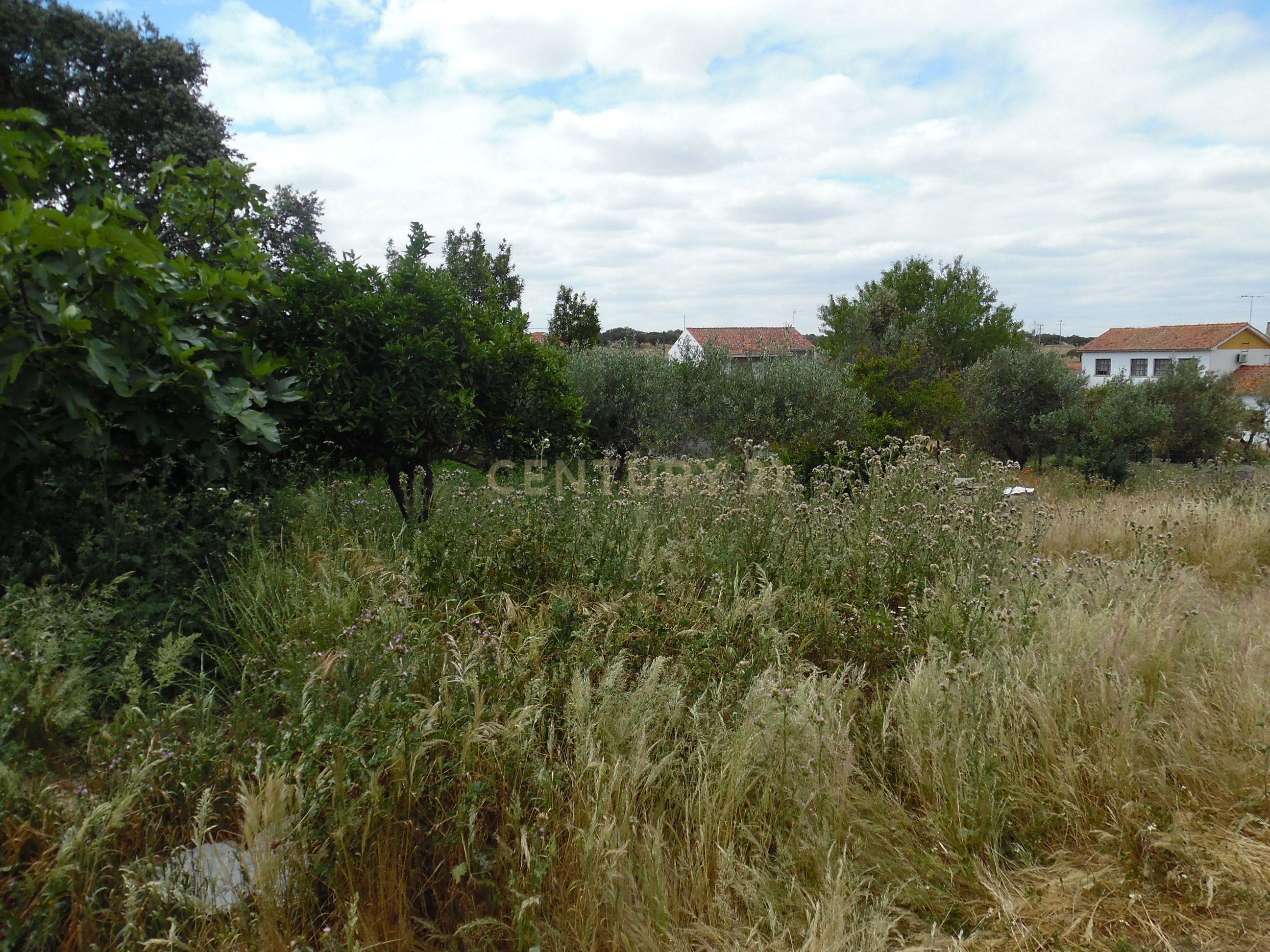 Moradia T3 à venda em Capelins (Santo António), Alandroal — foto 17