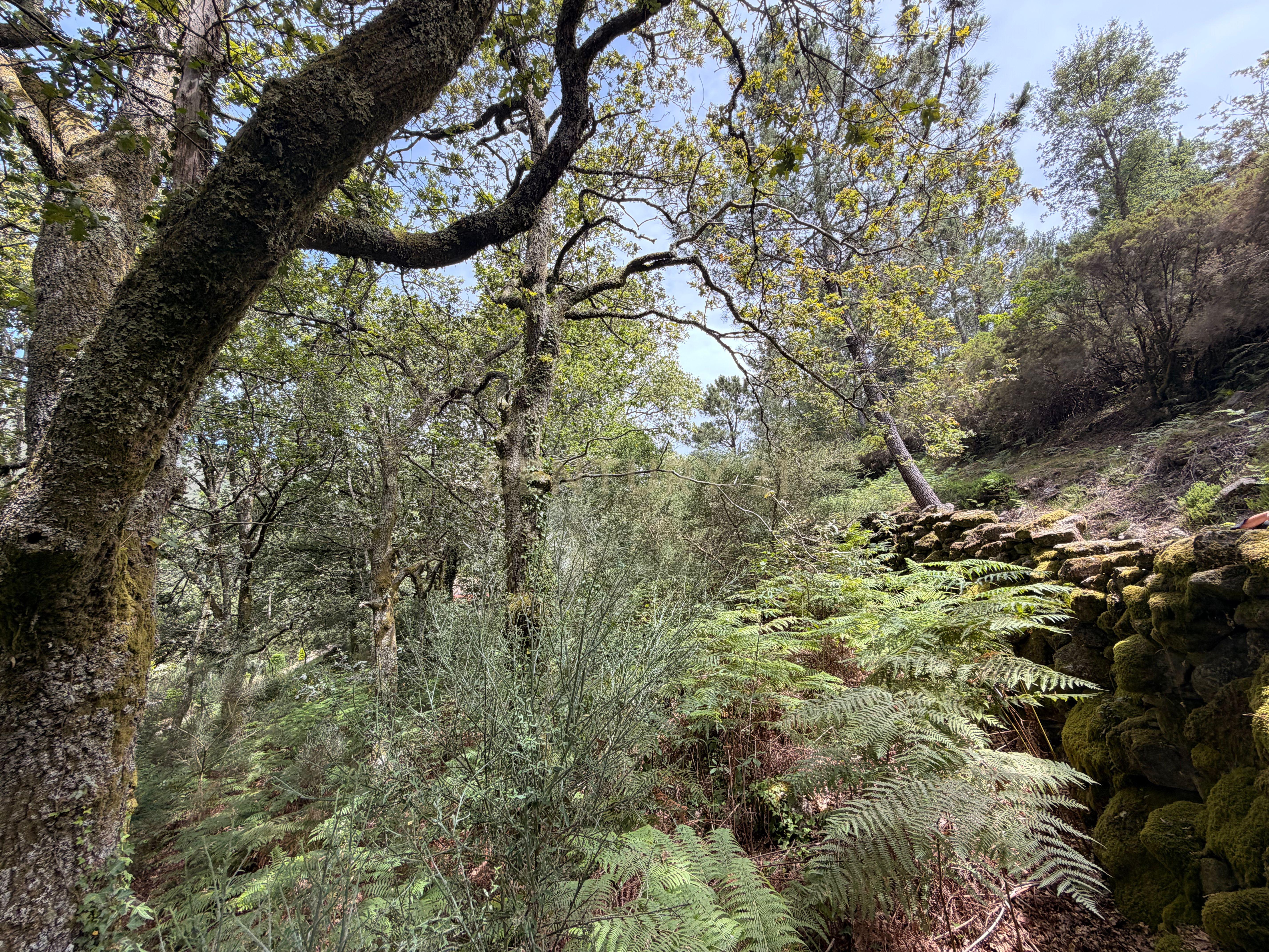 Moradia T1 à venda em Soajo, Arcos de Valdevez — foto 20