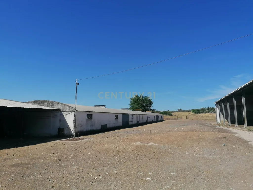 Beja, 2040,150 m2 de Armazéns Diversos instalados em 7190,690 m2 de terrenos Urbanos e ainda 2,5 hectares de terrenos Rústicos - Image 5