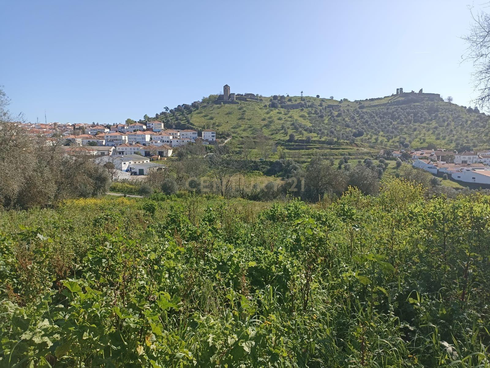 # Terreno Rustico em pleno centro de Montemor -o -Novo - Image 6