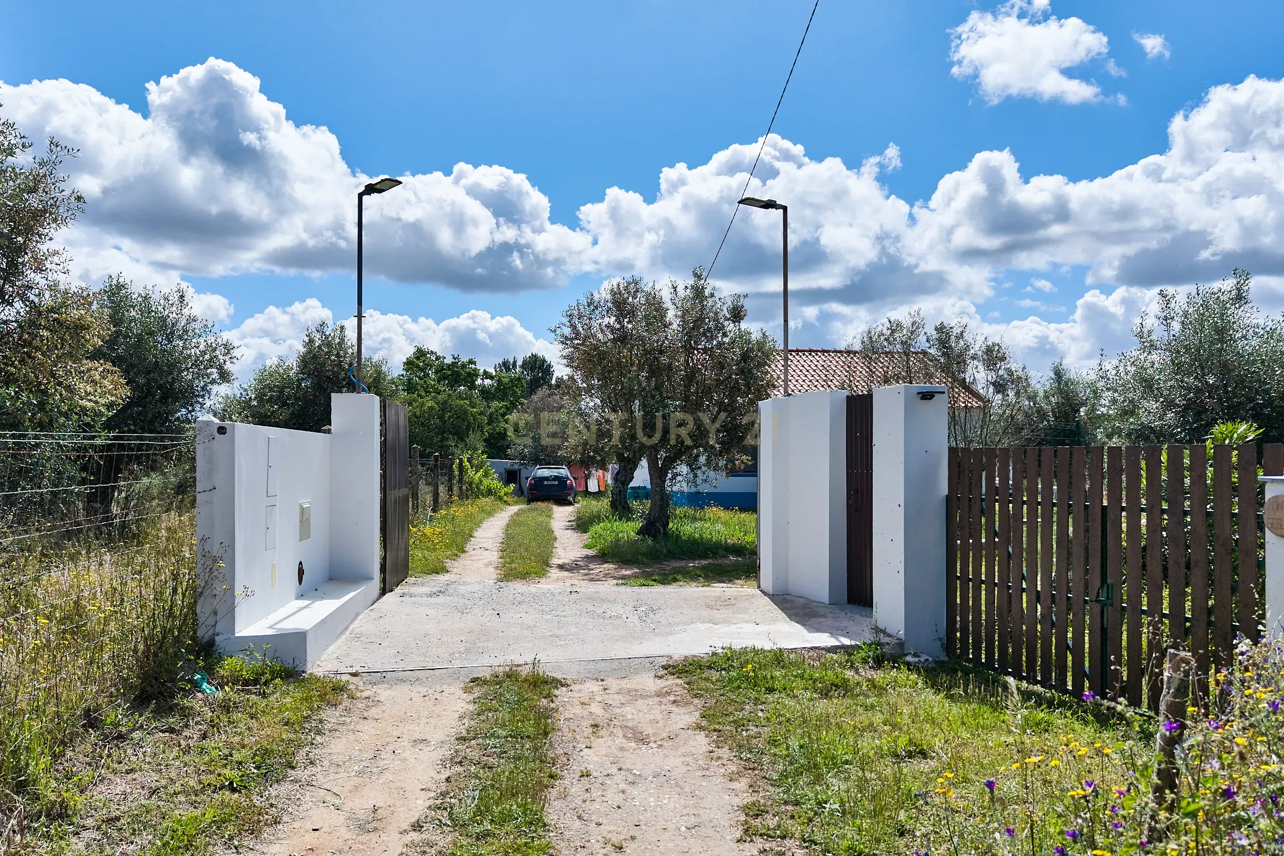 Viva o autêntico Alentejo – Seu refúgio em Ermidas do Sado - Cova do Gato espera por si - Image 9