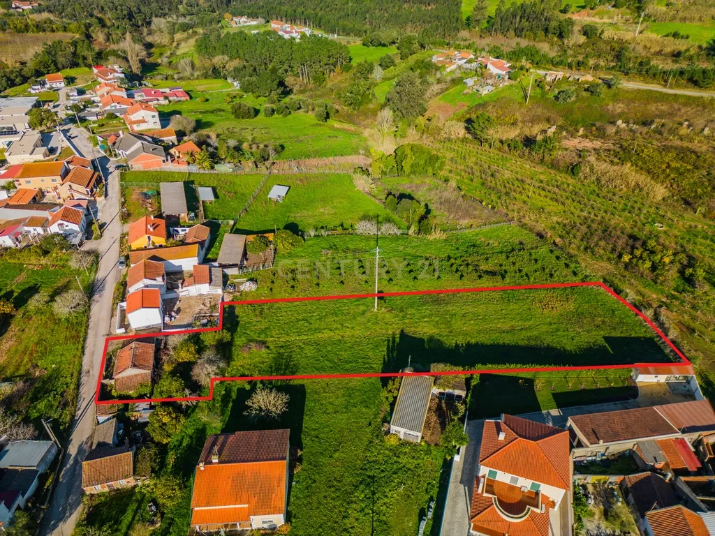Ruina | Lagoa Parceira | Caldas da Rainha - Image 17