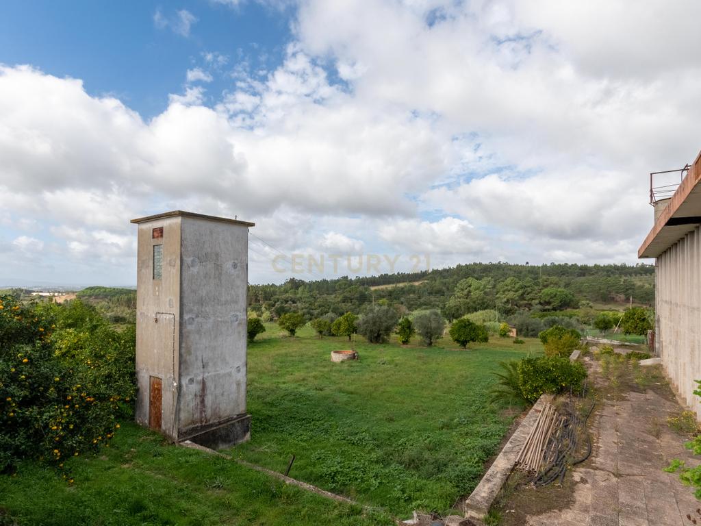 Terreno com Armazém, Moradia e Projeto pré aprovado | Excelente Oportunidade de Investimento - Image 12