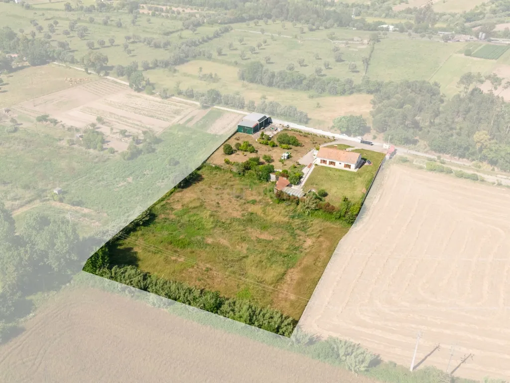 Quinta da Barrosa | Tentúgal, Montemor-o-Velho - Image 21