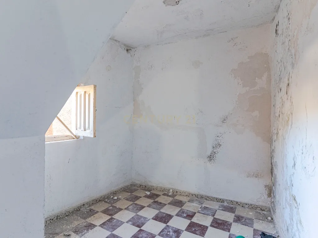 - Image 15