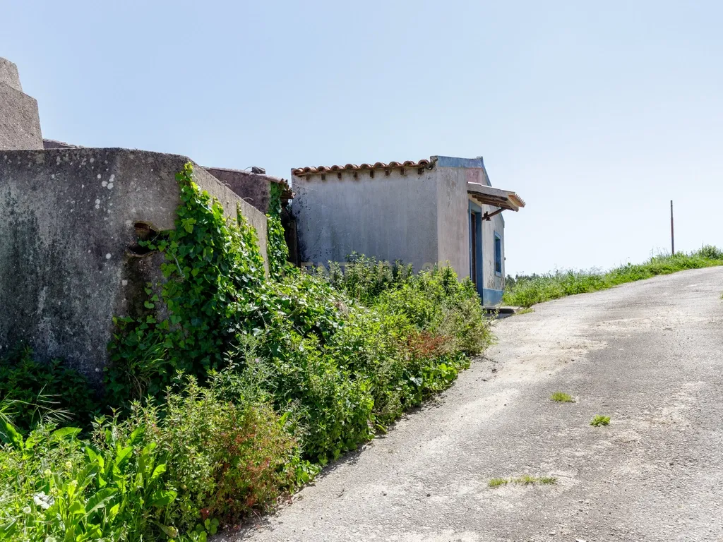 À procura de espaço para investir, fugir aos fins de semana ou começar um projecto a dois? - Image 32