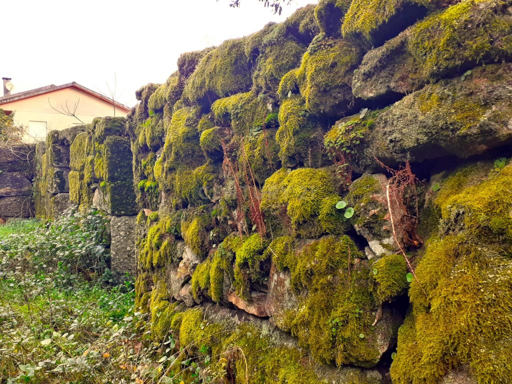 Belíssima ruína em terreno verdejante com vista deslumbrante para o Rio Douro, Baião, Porto - Image 14