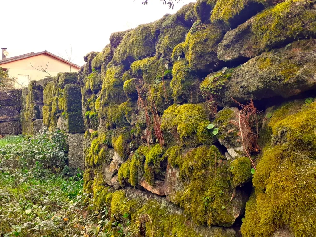 Belíssima ruína em terreno verdejante com vista deslumbrante para o Rio Douro, Baião, Porto - Image 14