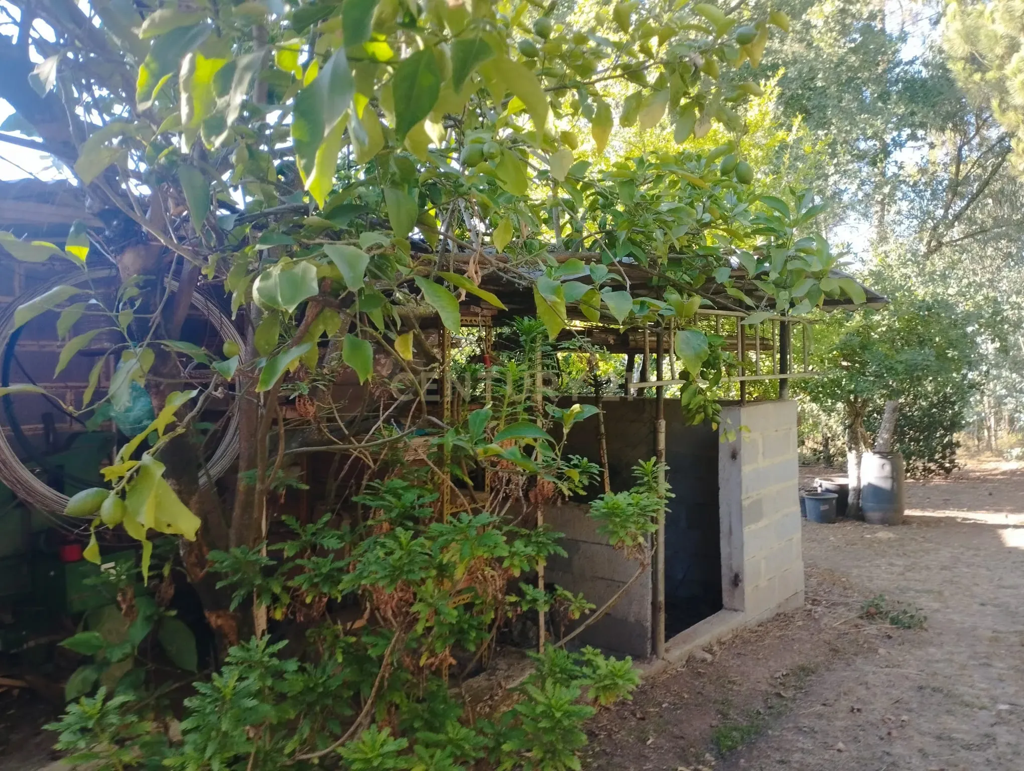 Fotografia 3 de Terreno com anexo para construção de um condomínio privado de 5 moradias unifamiliares na Várzea, Santo Tirso, Porto