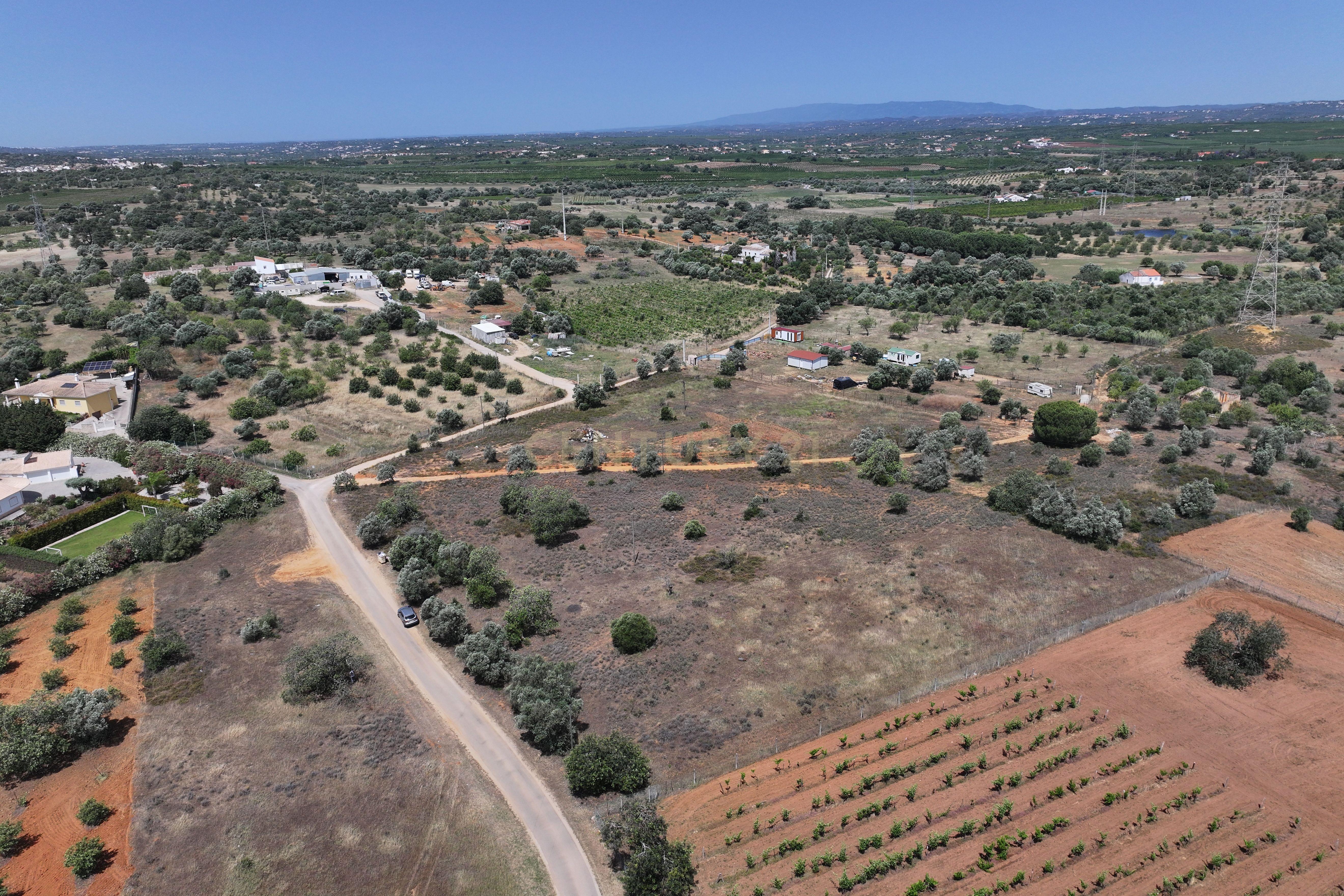Fotografia 9 de Terreno rústico localizado em Cortesões -Tunes, com uma área total de 7320m²