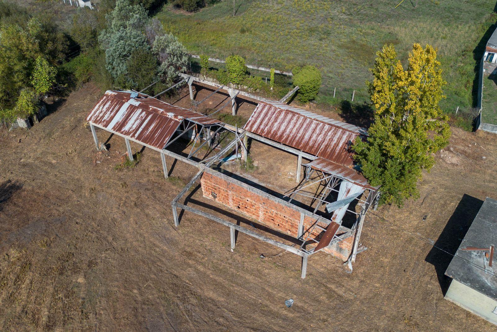 Fotografia 4 de Terreno  9.000m2 + Armazém em Miranda do Corvo, Coimbra