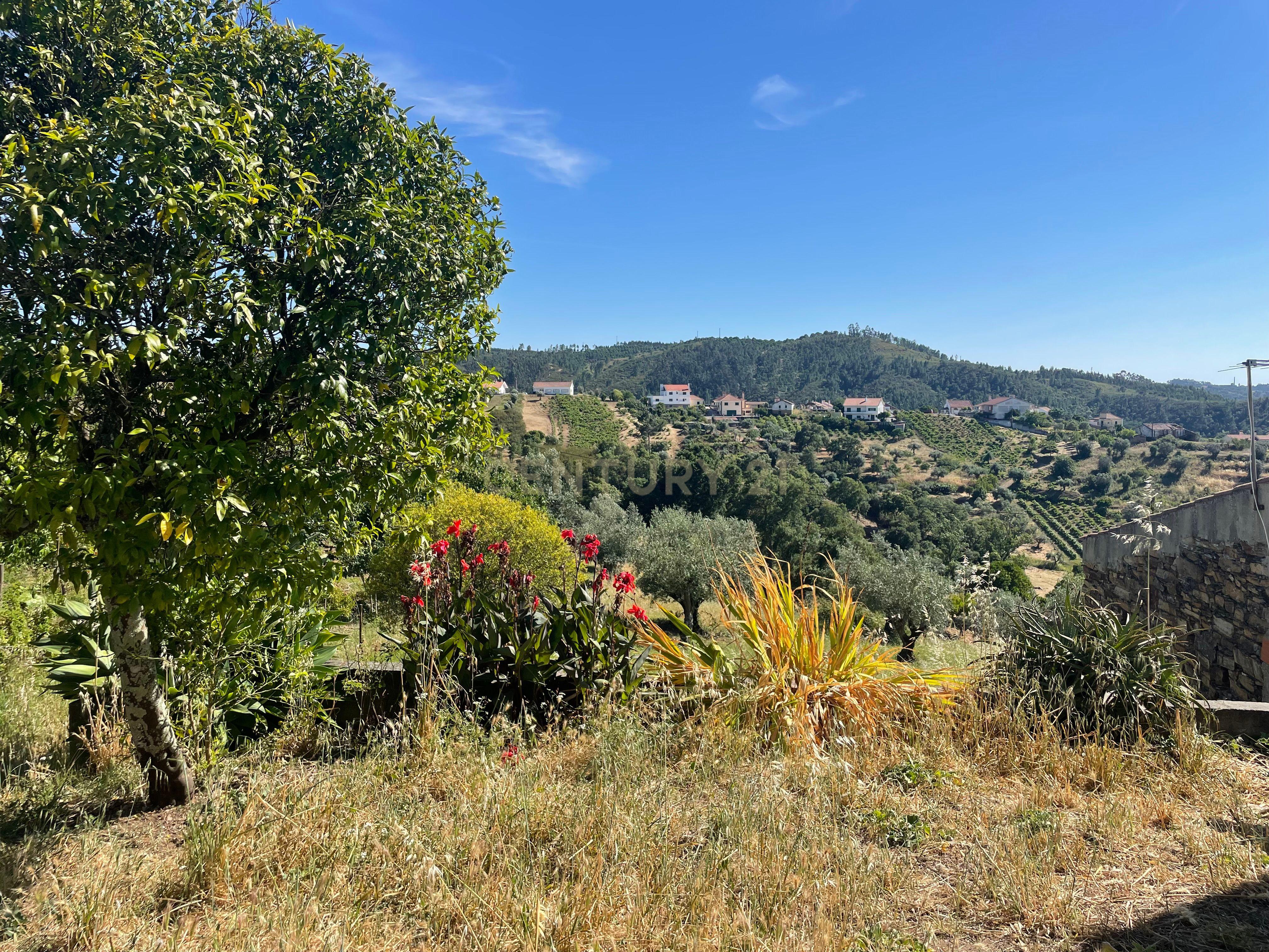 Fotografia 12 de Moradia em Bairro Cimeiro, Aldeia do Mato e Souto