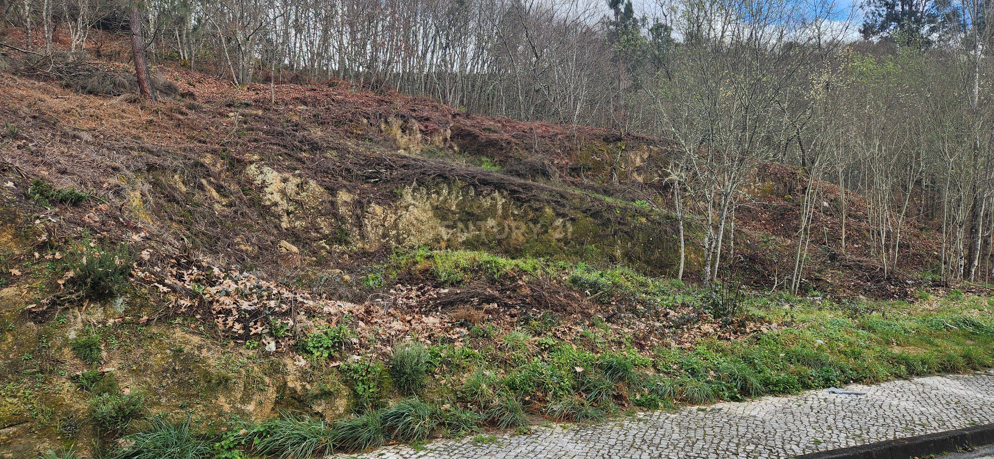 Terreno Urbano em São Pedro do Sul - Image 11