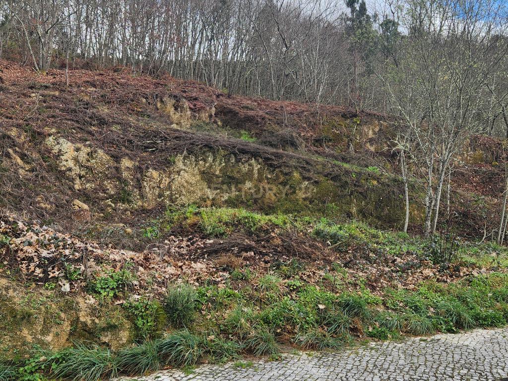Terreno Urbano em São Pedro do Sul - Image 11