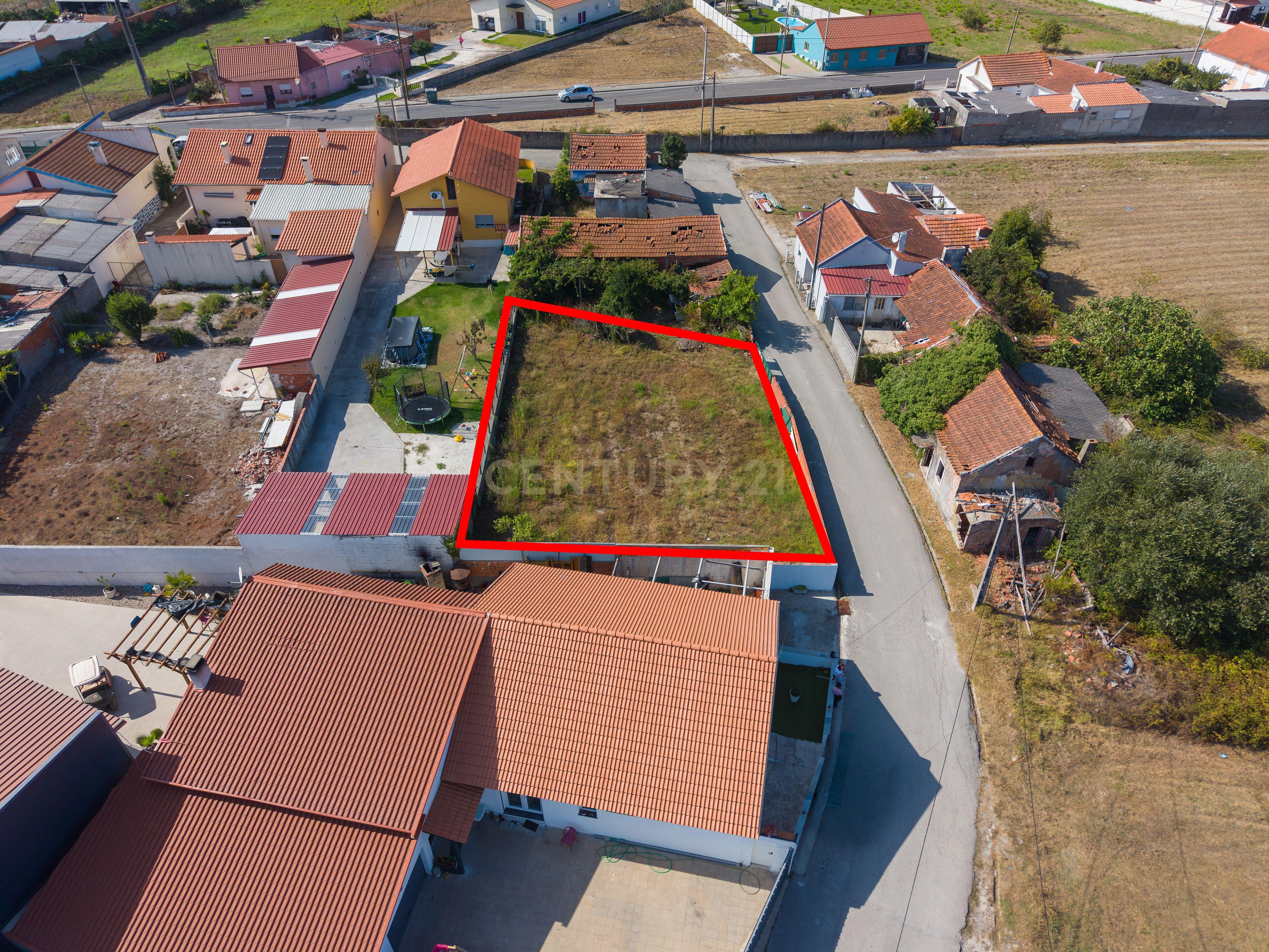 Fotografia 7 de Terreno Rústico na Escoura — Marinha Grande