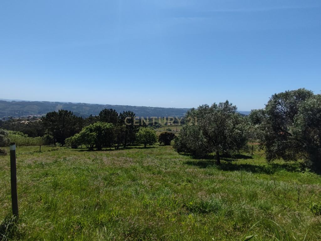 Terreno na Nazaré - Image 11