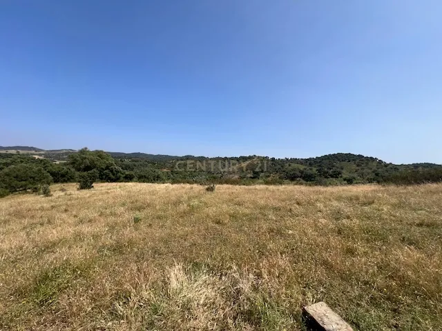 Herdade com 59,225 ha , 687m2 urbano, nascente de água, em Colos, Odemira - Image 57