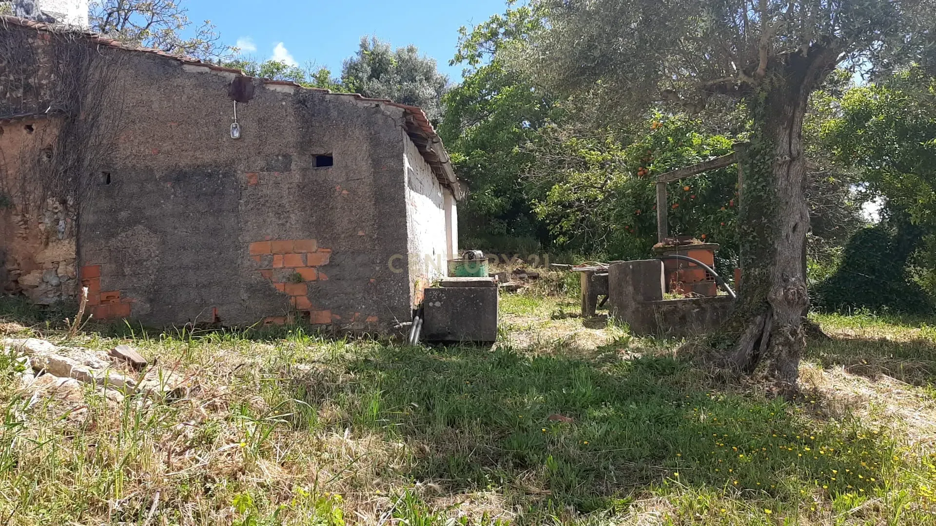 Fotografia 4 de Propriedade para Recuperação em Areias, Ferreira do Zêzere