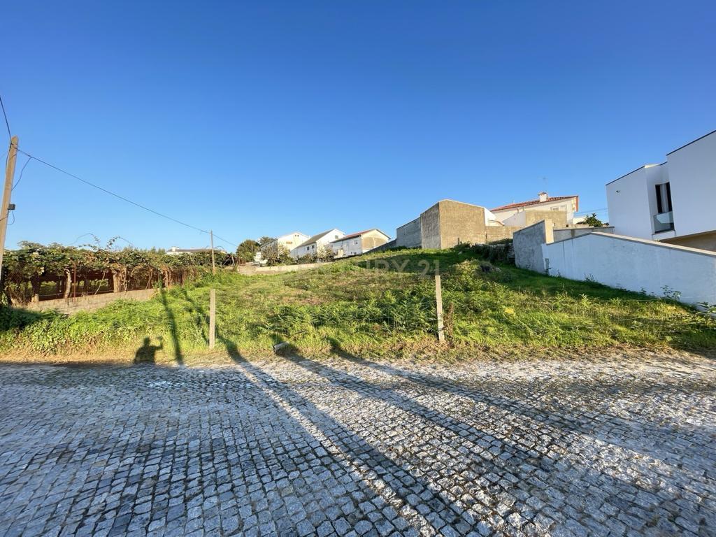 Terreno com 1370 m2 em Gondalães-Paredes - Image 7